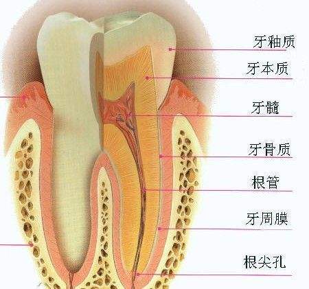种植牙过程是什么样的？