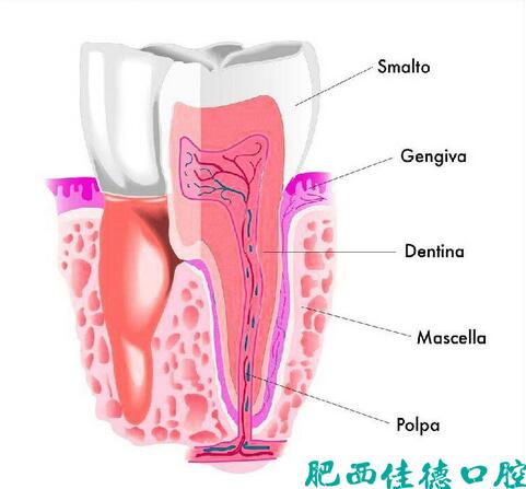 肥西牙髓发炎如何治疗