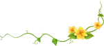 5e70466d4c991xvhgkmwujf.jpg