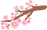 5e533e51c63afxieupaosue.jpg